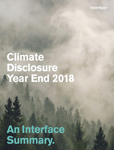 Climate Disclosure 2018