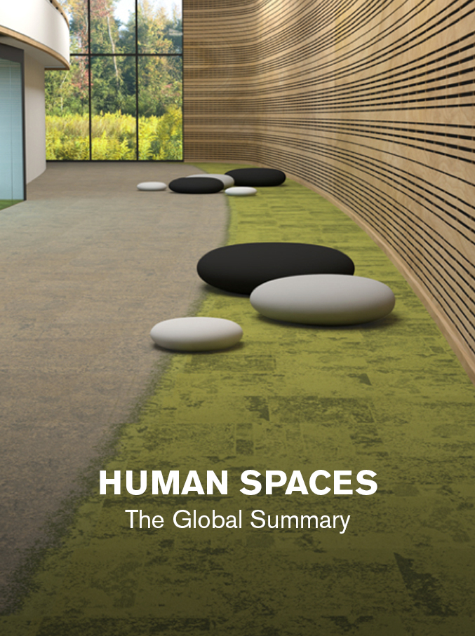 Human Spaces Report - Summary
